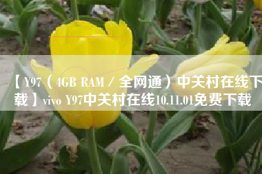 【Y97(4GB RAM/全网通)中关村在线下载】vivo Y97中关村在线10.11.01免费下载 【Y97(4GB RAM/全网通)中关村在线下载】vivo Y97中关村在线10.11.01免费下载