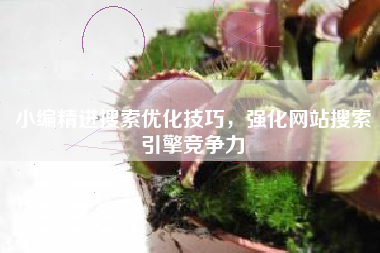 小编精进搜索优化技巧，强化网站搜索引擎竞争力