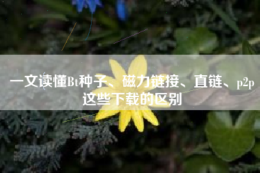 一文读懂Bt种子、磁力链接、直链、p2p这些下载的区别