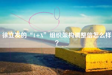 徐立发的“1+X”组织架构调整信怎么样？
