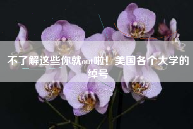 不了解这些你就out啦！美国各个大学的绰号