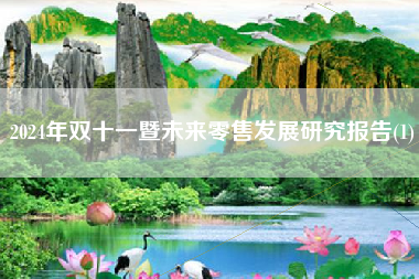 2024年双十一暨未来零售发展研究报告(1)