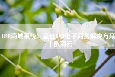 B2B商城系统：最佳B2B电子商务解决方案｜数商云