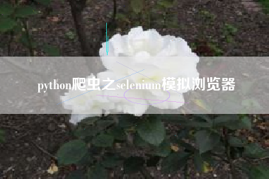 python爬虫之selenium模拟浏览器