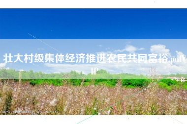 壮大村级集体经济推进农民共同富裕.pdfVIP