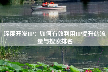 深度开发HP：如何有效利用HP提升站流量与搜索排名