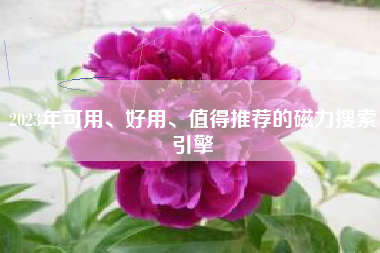 2023年可用、好用、值得推荐的磁力搜索引擎
