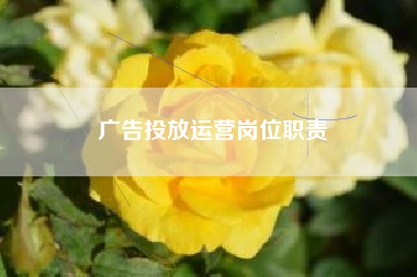 广告投放运营岗位职责 广告投放运营岗位职责