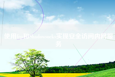 使用frp和Shadowsocks实现安全访问内网服务