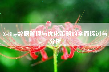 Z-Blog数据管理与优化策略的全面探讨与分析
