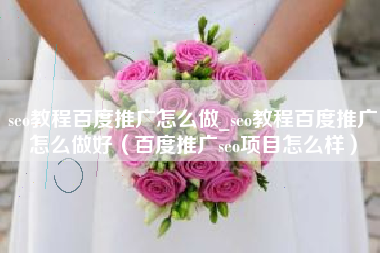 seo教程百度推广怎么做_seo教程百度推广怎么做好（百度推广seo项目怎么样）