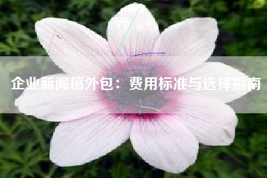企业新闻稿外包：费用标准与选择指南