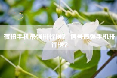 夜拍手机最强排行榜？ 信号最强手机排行榜？