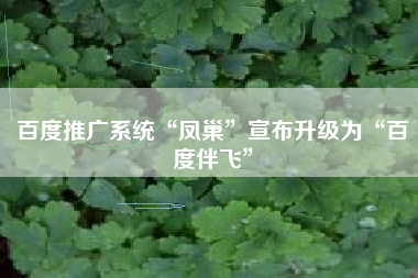 百度推广系统“凤巢”宣布升级为“百度伴飞”