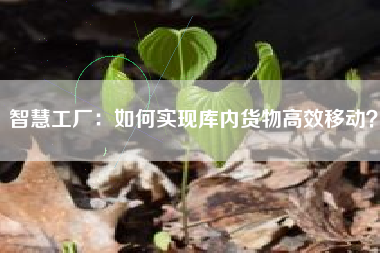 智慧工厂：如何实现库内货物高效移动？