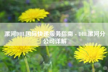 漯河DHL国际快递服务指南 - DHL漯河分公司详解