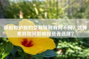 深股和泸股的交易规则有何不同？这种差异如何影响投资者选择？