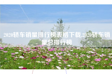 2020轿车销量排行榜表格下载,2020轿车销量总排行榜