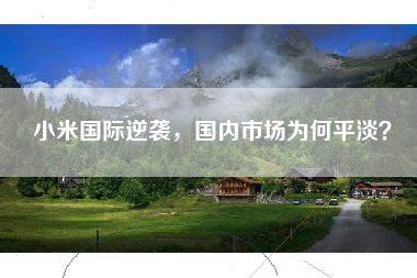 小米国际逆袭，国内市场为何平淡？