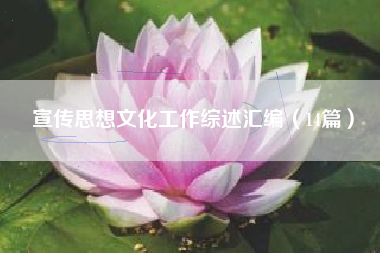 宣传思想文化工作综述汇编（14篇）