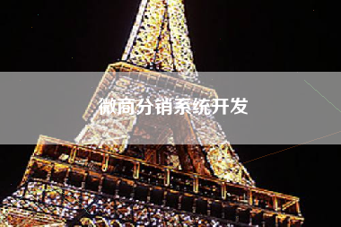 微商分销系统开发