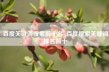 百度关键词搜索前十名_百度搜索关键词排名前十