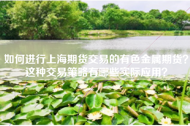 如何进行上海期货交易的有色金属期货?这种交易策略有哪些实际应用? 如何进行上海期货交易的有色金属期货?这种交易策略有哪些实际应用?