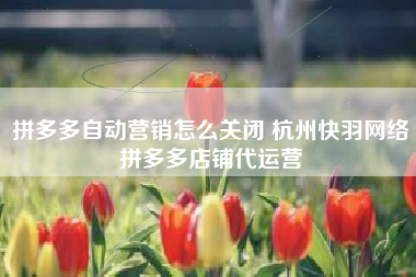 拼多多自动营销怎么关闭 杭州快羽网络拼多多店铺代运营