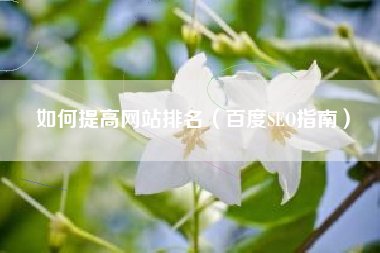 如何提高网站排名（百度SEO指南）