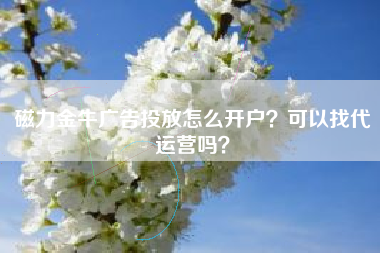 磁力金牛广告投放怎么开户？可以找代运营吗？