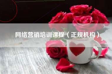 网络营销培训课程（正规机构）