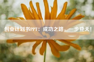 创业计划书PPT：成功之路，一步登天！