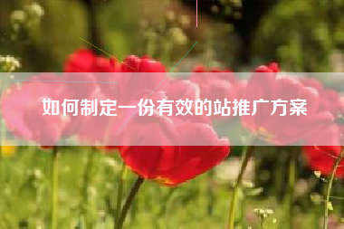 如何制定一份有效的站推广方案