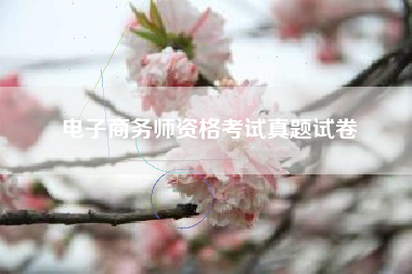 电子商务师资格考试真题试卷