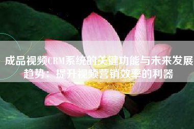 成品视频CRM系统的关键功能与未来发展趋势：提升视频营销效率的利器