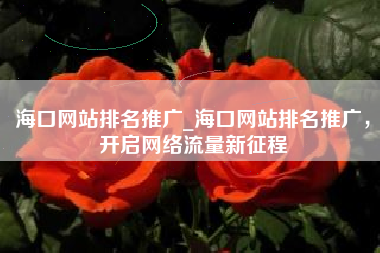 海口网站排名推广_海口网站排名推广，开启网络流量新征程