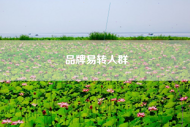 品牌易转人群