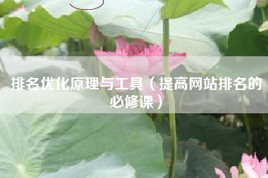 排名优化原理与工具（提高网站排名的必修课）