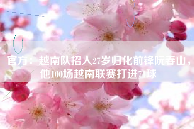 官方：越南队招入27岁归化前锋阮春山，他100场越南联赛打进71球
