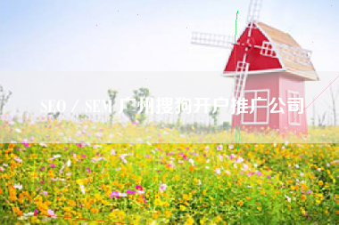 SEO／SEM 广州搜狗开户推广公司