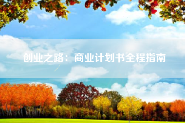 创业之路：商业计划书全程指南