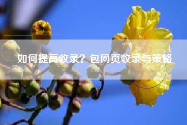 如何提高收录？包网页收录与策略