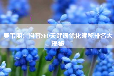 吴韦朋：抖音SEO关键词优化昵称排名大揭秘