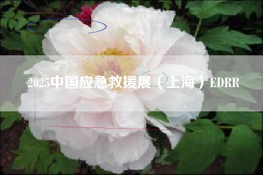 2025中国应急救援展（上海）EDRR
