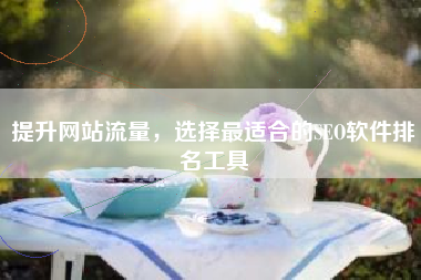 提升网站流量，选择最适合的SEO软件排名工具