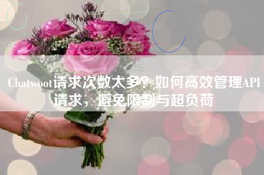 Chatwoot请求次数太多？如何高效管理API请求，避免限制与超负荷