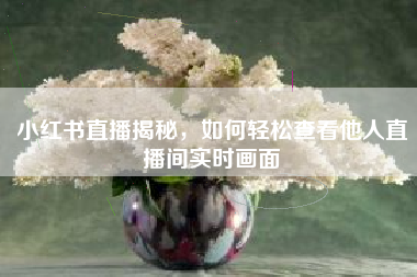 小红书直播揭秘，如何轻松查看他人直播间实时画面