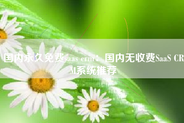 国内永久免费saas crm：国内无收费SaaS CRM系统推荐
