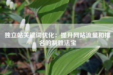 独立站关键词优化：提升网站流量和排名的制胜法宝