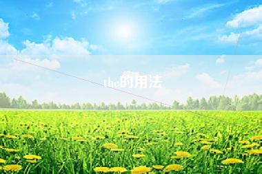 the的用法